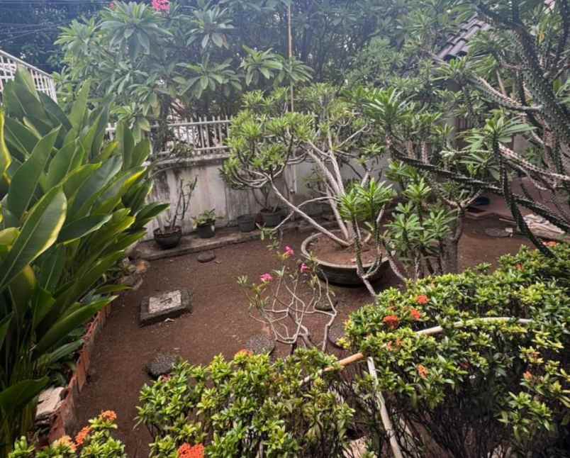 dijual cepat rumah di kayu putih jakarta timur