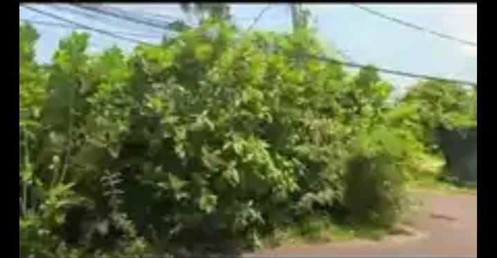 dijual cepat tanah badung kuta bali