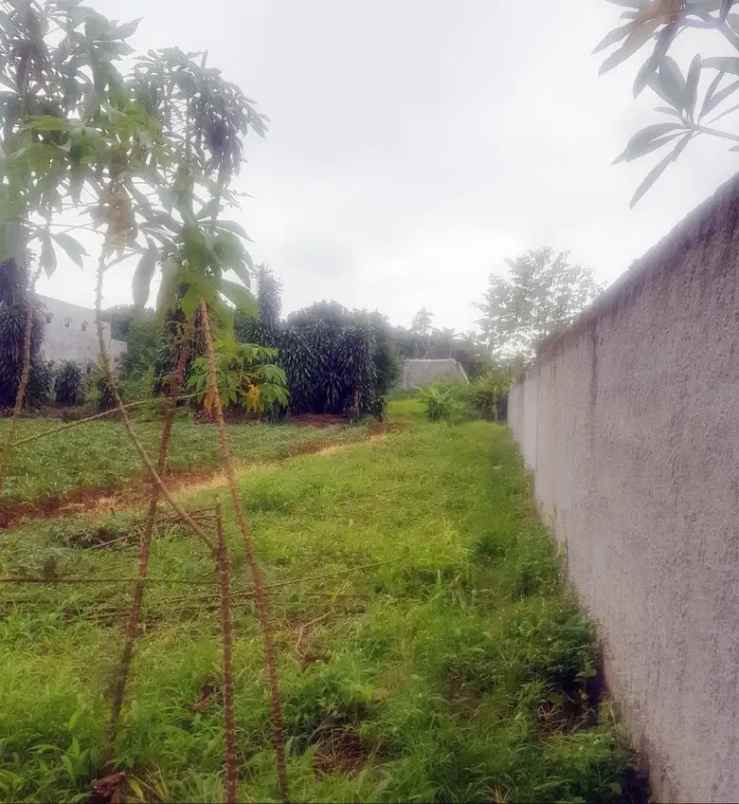 dijual cepat tanah di rawakalong gunung sindur