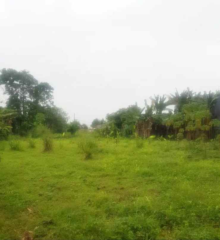dijual cepat tanah di rawakalong gunung sindur