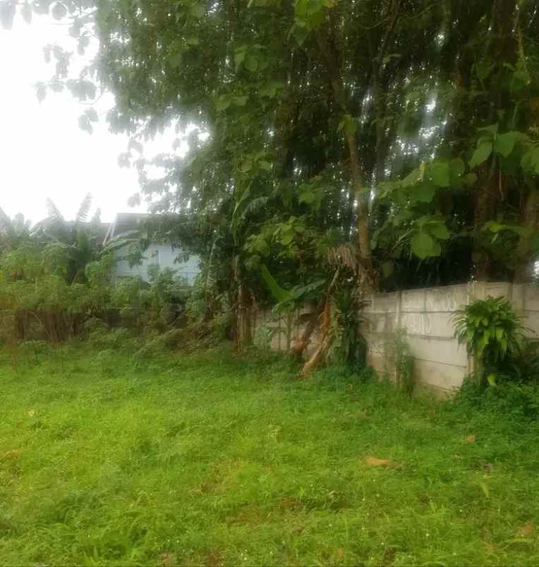 dijual cepat tanah di rawakalong gunung sindur