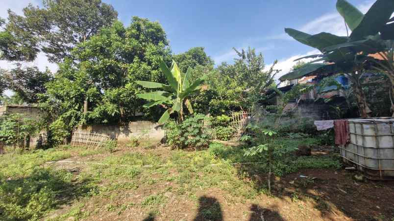 dijual cepat tanah disekitar jonggol