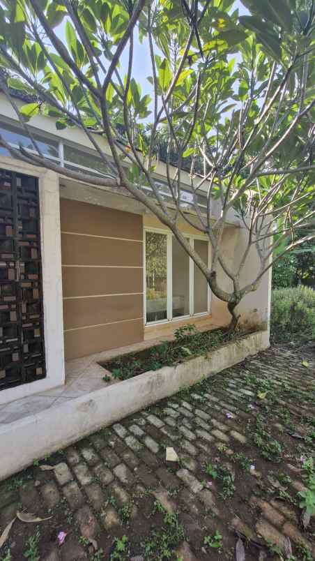 dijual cepat tanah disekitar jonggol