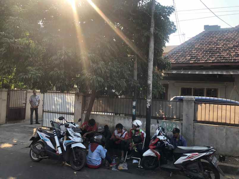 dijual kost palmeriam