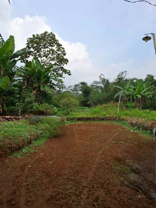 dijual rumah di setro kaligading boja kab kendal