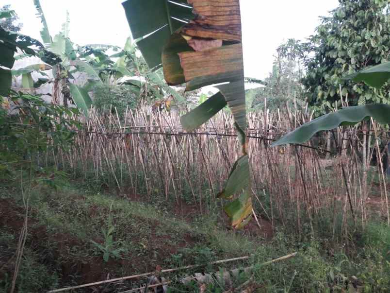 dijual rumah kec sukajadi pasteur