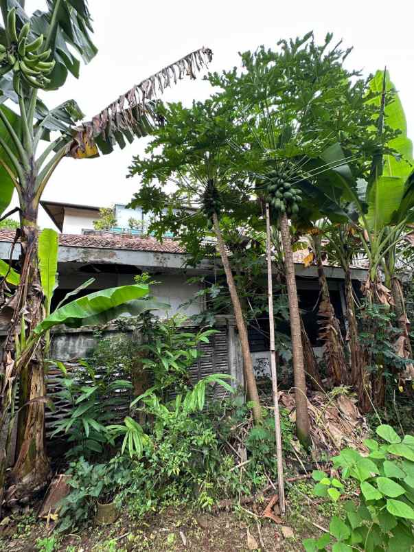 dijual rumah menteng