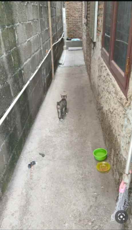 dijual rumah warung ayu