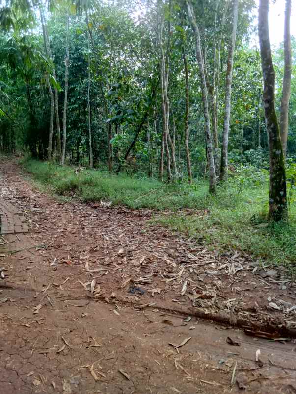 dijual tah kebun sudah shm