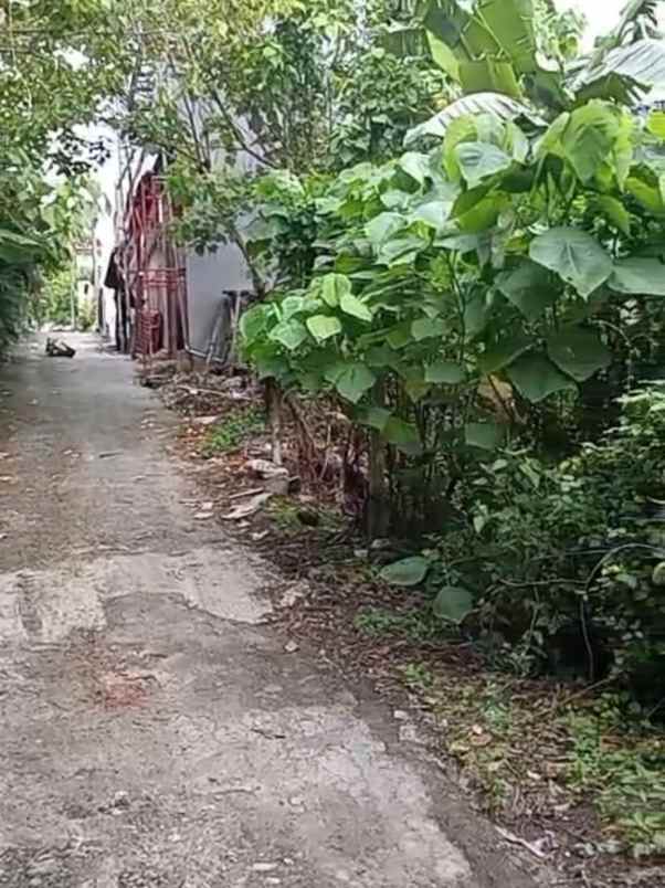dijual tanah babakan canggu