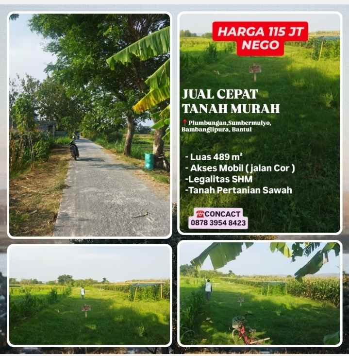 dijual tanah bambanglipuro bantul