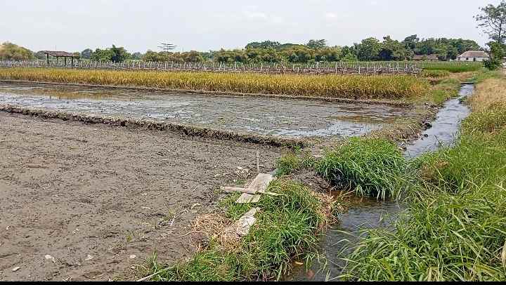 dijual tanah banyudono