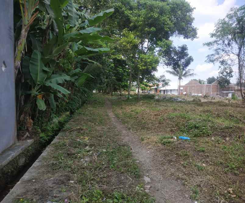 dijual tanah blotan wedomartani