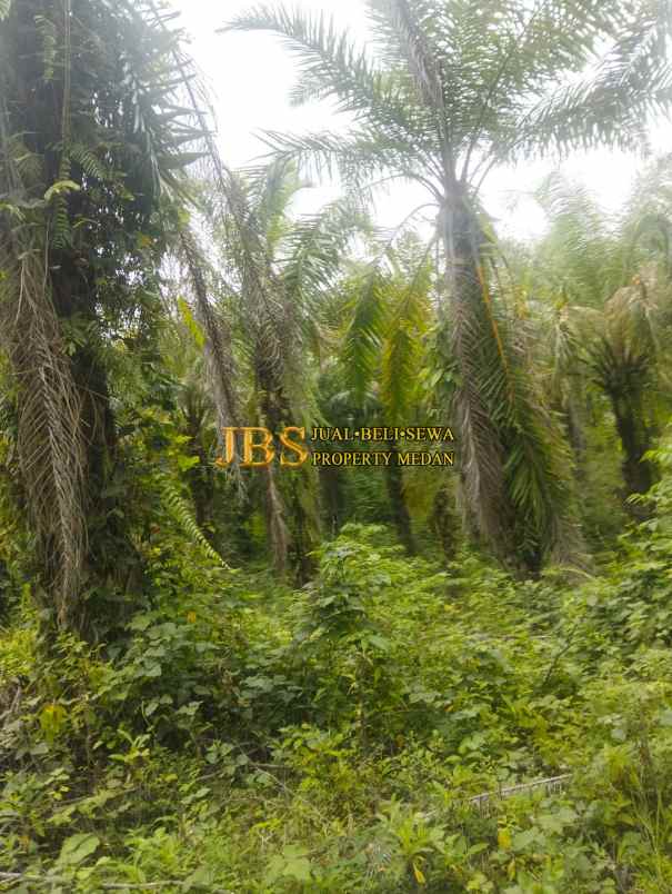 dijual tanah daerah desa garunggang kab