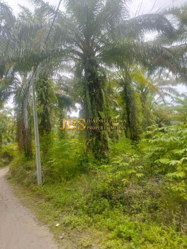 dijual tanah daerah desa garunggang kab