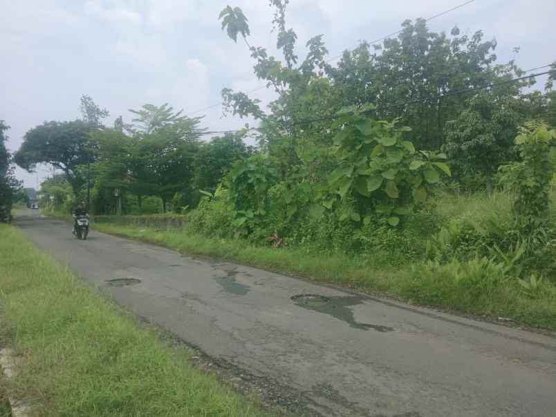 dijual tanah darat pinggir jalan raya sarwadadi