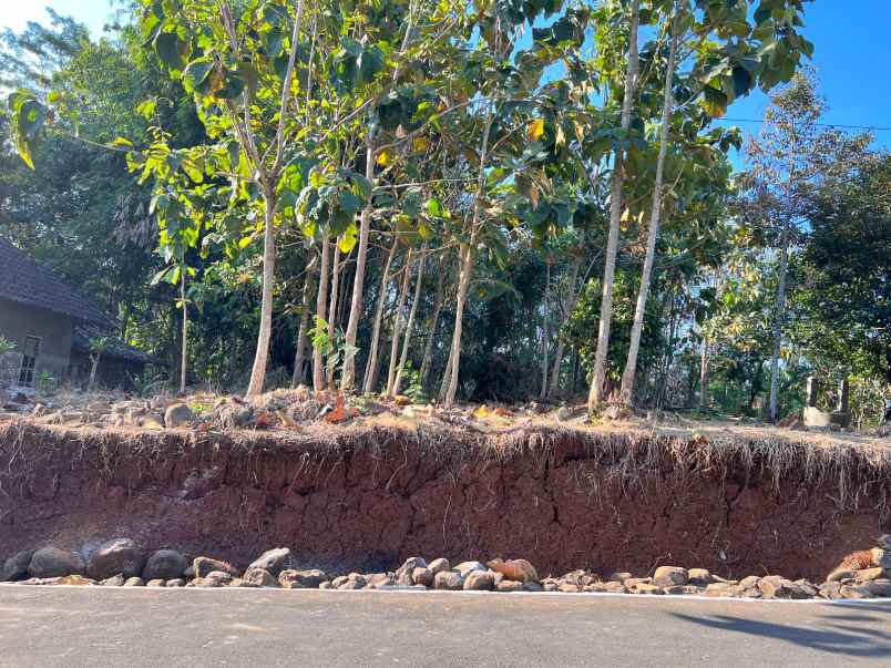 dijual tanah dekat pasar batujamus kerjo karanganyar