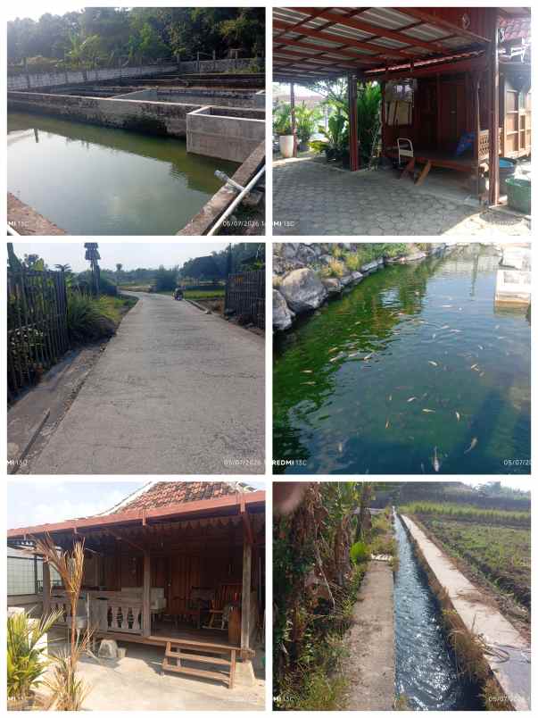 dijual tanah dekat wisata ponggok klaten