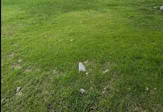 dijual tanah delta silikon lippo
