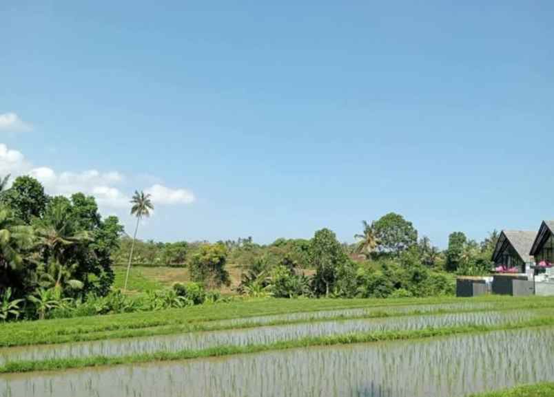 dijual tanah desa lalanglingah kec