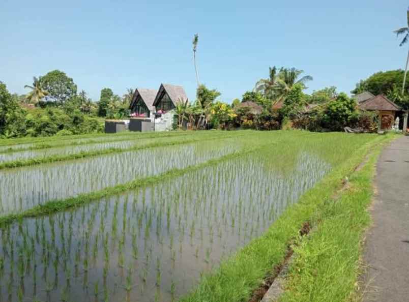dijual tanah desa lalanglingah kec