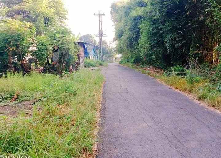 dijual tanah di pekuncen klipang tembalang semarang