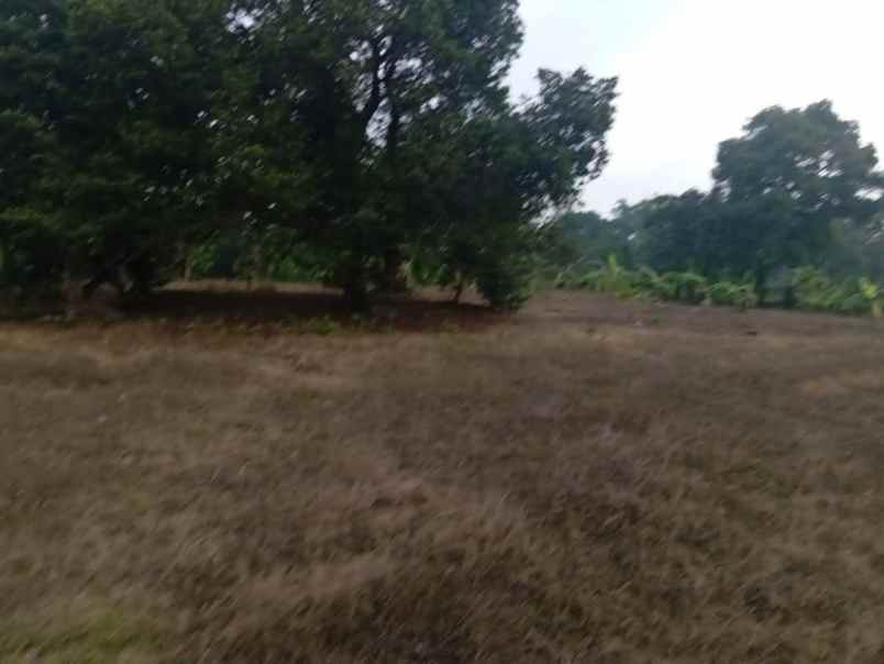 dijual tanah dukuan kidul kesamben
