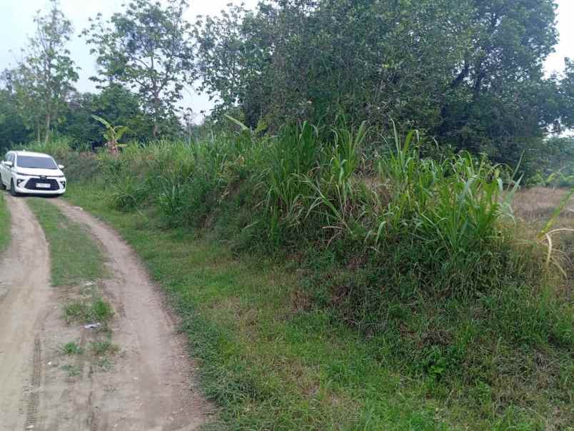 dijual tanah dukuan kidul kesamben