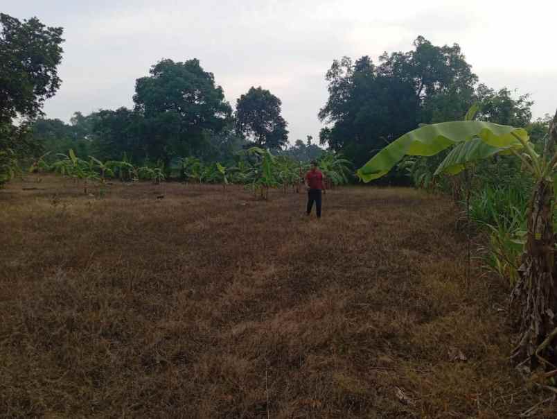 dijual tanah dukuan kidul kesamben
