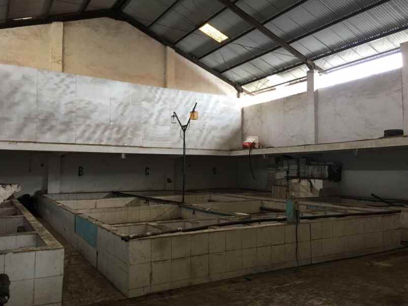 dijual tanah jalan diponegoro