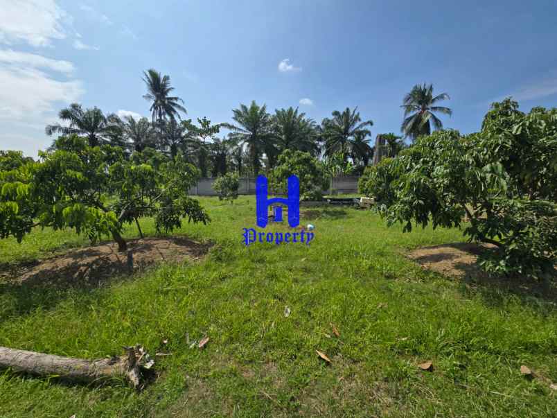 dijual tanah jalan lintas sumatera langkat