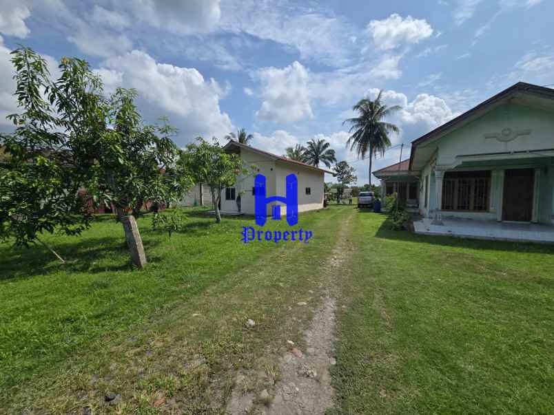 dijual tanah jalan lintas sumatera langkat