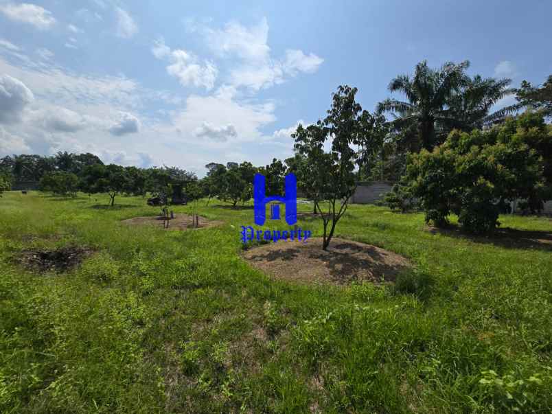 dijual tanah jalan lintas sumatera langkat