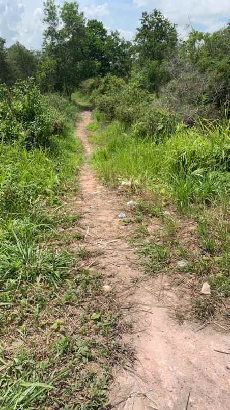 dijual tanah jalan raya lintas sumatera