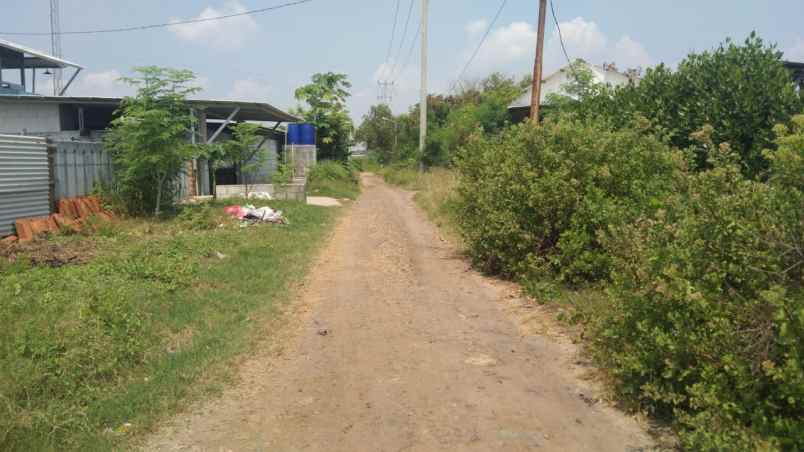 dijual tanah jalan tanggul tambak singajaya