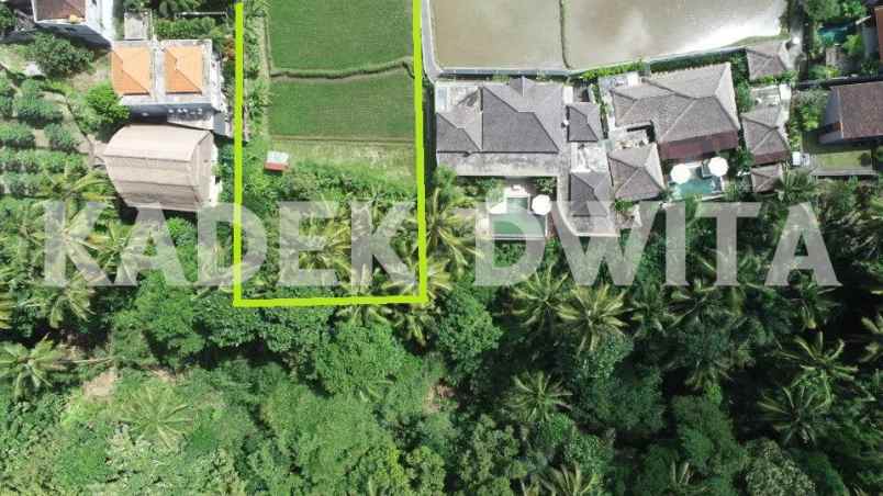 dijual tanah jalan tirta tawar ubud