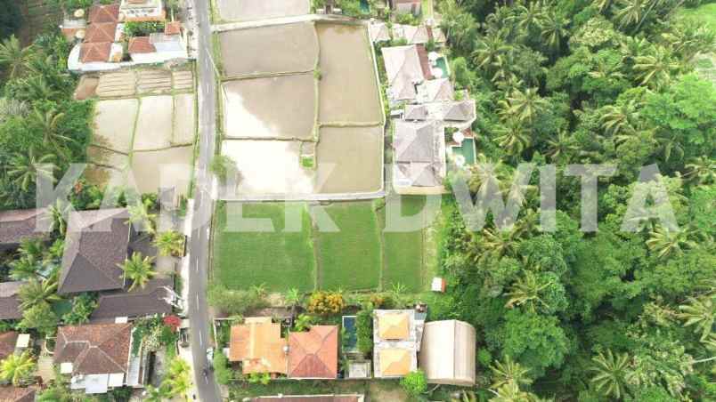 dijual tanah jalan tirta tawar ubud