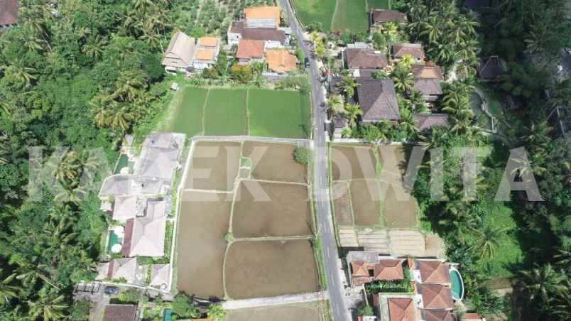 dijual tanah jalan tirta tawar ubud