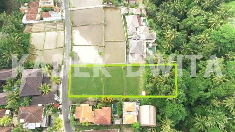 dijual tanah jalan tirta tawar ubud