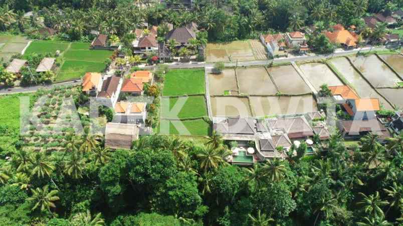 dijual tanah jalan tirta tawar ubud