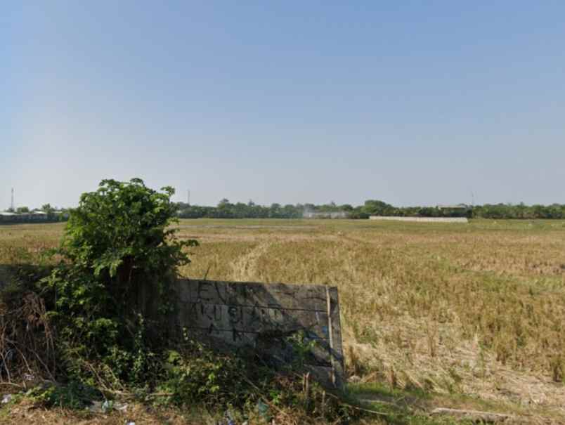 dijual tanah jl raya cabangbungin