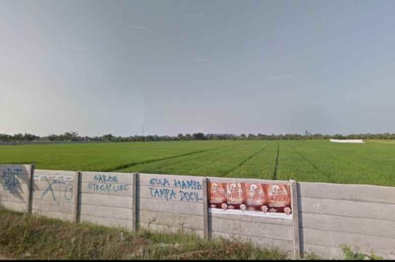 dijual tanah jl raya cabangbungin