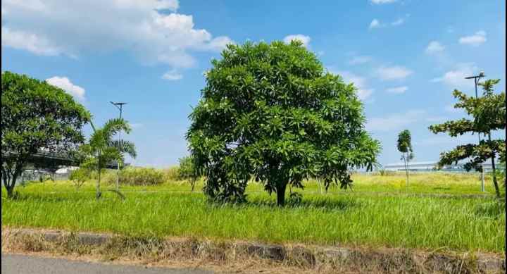 dijual tanah jl surya cipta