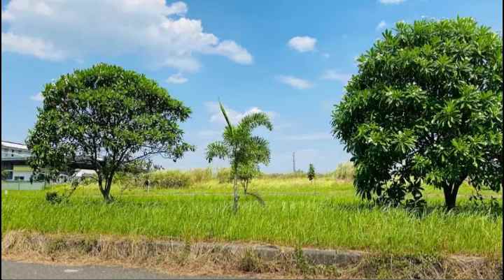 dijual tanah jl surya cipta