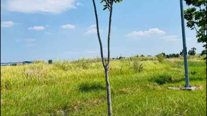 dijual tanah jl surya cipta