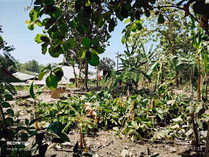 dijual tanah jogoprono