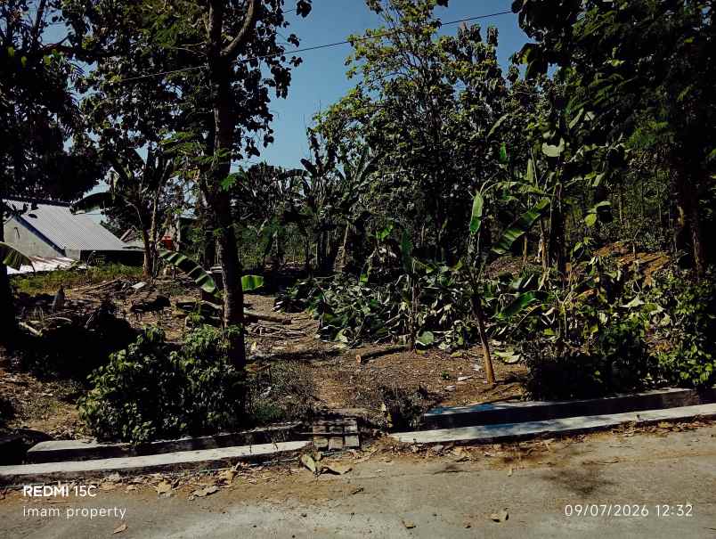 dijual tanah jogoprono