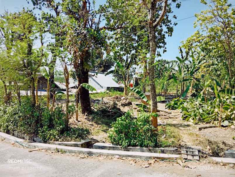 dijual tanah jogoprono