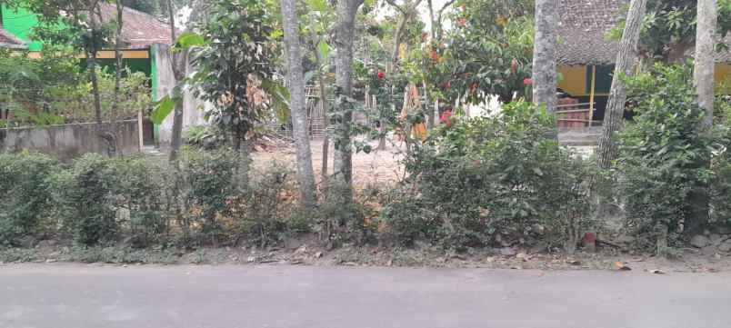 dijual tanah joho prambanan klaten