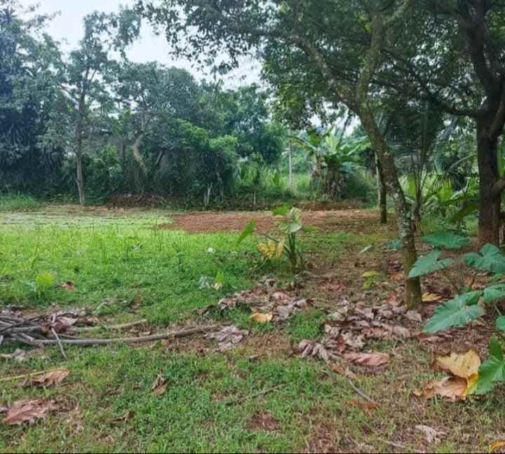 dijual tanah kalisuren tajur halang bogor